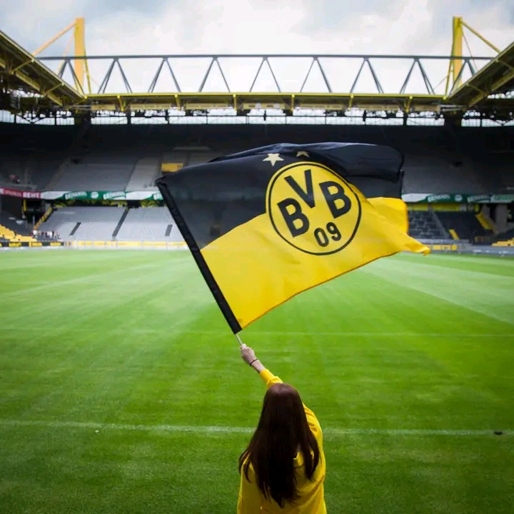 Schock für Borussia Dortmund: Drastische Sanktionen erschüttern den Verein bis ins Mark